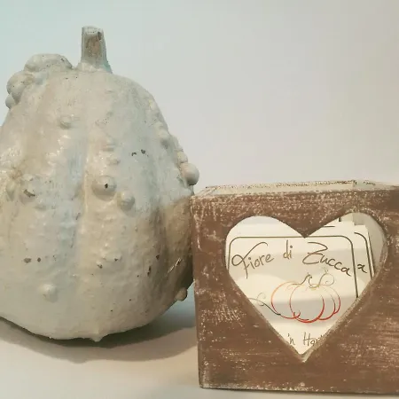 Fiore Di Zucca