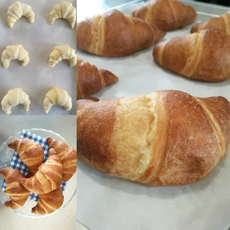 Bed & Breakfast Fiore Di Zucca Segrate