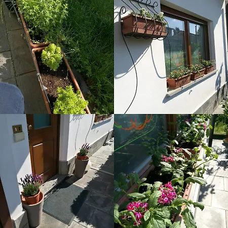 Bed & Breakfast Fiore Di Zucca Segrate